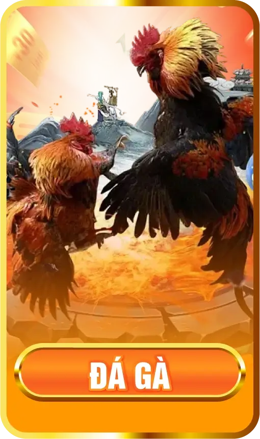 đá gà g28
